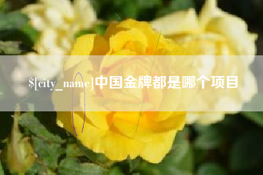 永州中国金牌都是哪个项目