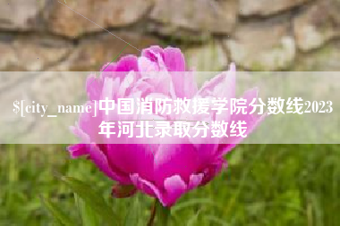 永州中国消防救援学院分数线2023年河北录取分数线