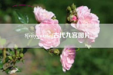 永州古代九宫图片