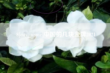 永州中国的几块金牌2021