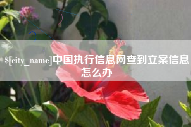 永州中国执行信息网查到立案信息怎么办