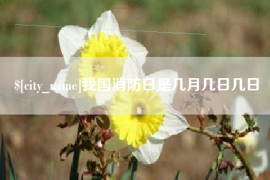 永州我国消防日是几月几日几日