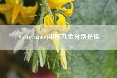 永州中国九金分别是谁