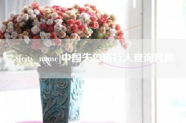 永州中国失信执行人查询官网