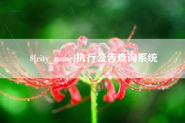 永州执行公告查询系统