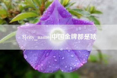 永州中国金牌都是啥