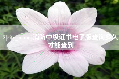 永州消防中级证书电子版查询多久才能查到