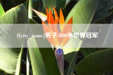 永州男子5000米世界冠军