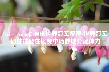 永州5000米世界冠军配速-世界冠军们往往能在比赛中巧妙地分配体力