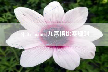 永州九宫格比赛规则