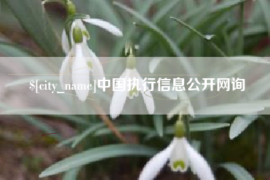 永州中国执行信息公开网询