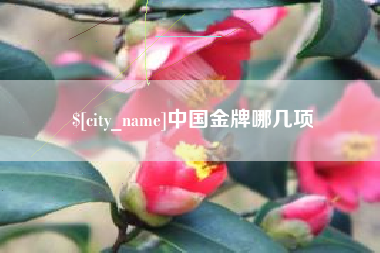 永州中国金牌哪几项