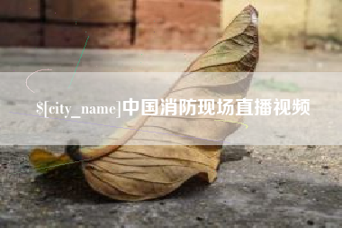永州中国消防现场直播视频