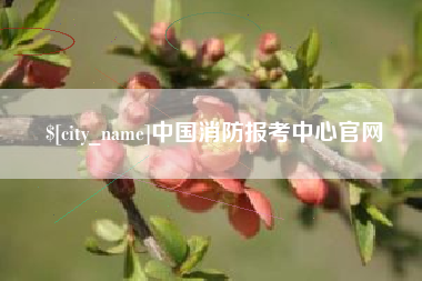 永州中国消防报考中心官网