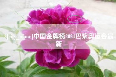 永州中国金牌榜2024巴黎奥运会最新