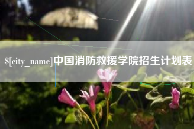 永州中国消防救援学院招生计划表