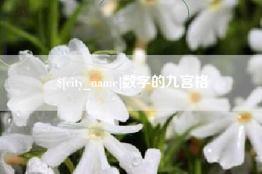 永州数字的九宫格