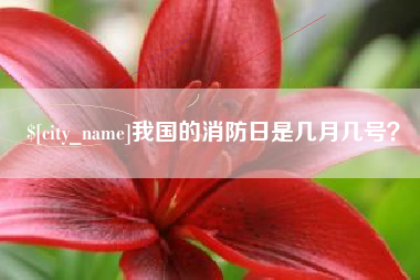 永州我国的消防日是几月几号？