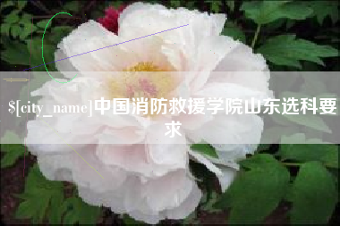 永州中国消防救援学院山东选科要求