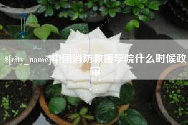 永州中国消防救援学院什么时候政审