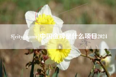 永州中国金牌是什么项目2024