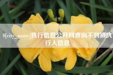 永州执行信息公开网查询不到被执行人信息