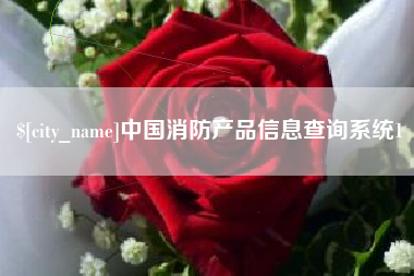 永州中国消防产品信息查询系统1