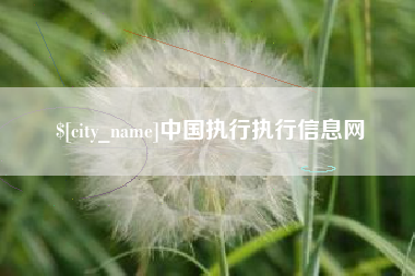 永州中国执行执行信息网