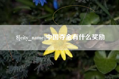 永州中国夺金有什么奖励