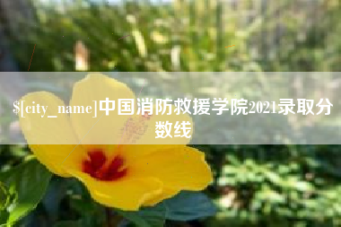 永州中国消防救援学院2021录取分数线