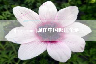 永州现在中国哪几个金牌