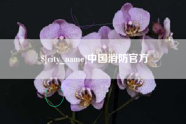 永州中国消防官方