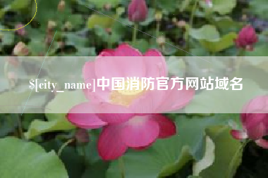 永州中国消防官方网站域名