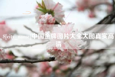 永州中国金牌图片大全大图真实高清