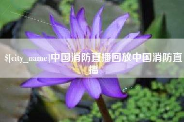 永州中国消防直播回放中国消防直播