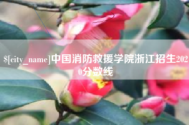 永州中国消防救援学院浙江招生2020分数线