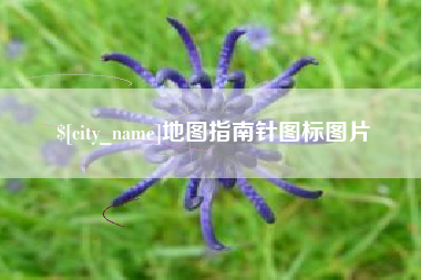永州地图指南针图标图片