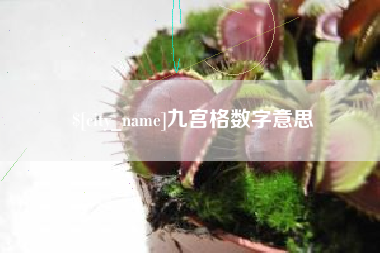 永州九宫格数字意思