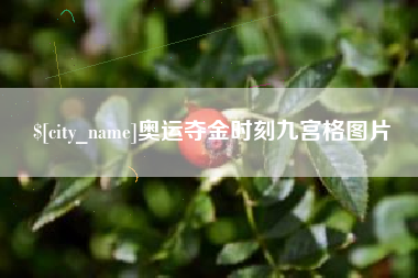 永州奥运夺金时刻九宫格图片