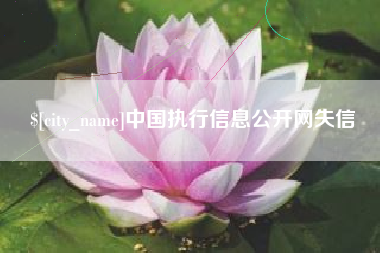 永州中国执行信息公开网失信
