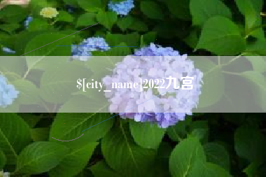 永州2022九宫
