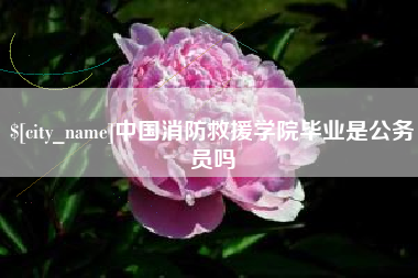 永州中国消防救援学院毕业是公务员吗