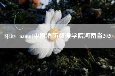 永州中国消防救援学院河南省2020